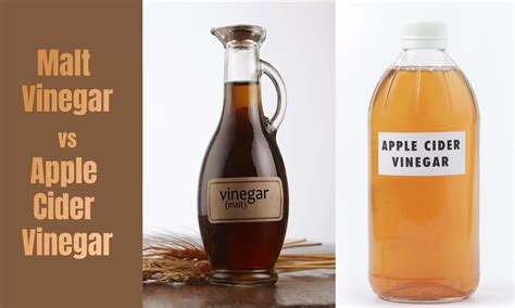 malt vinegar vs apple cider vinegar